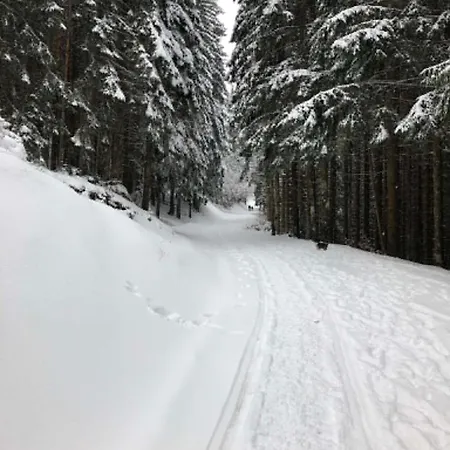 Col Du Corbier Apartman *